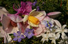 goodhuema > Adams Pond Farm photo