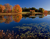 goodhuema > Adams Pond Farm photo
