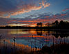 goodhuema > Adams Pond Farm photo